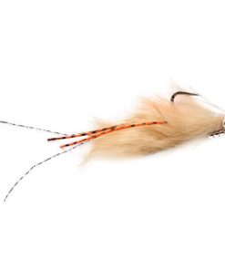 Modishnook.shop52f2f78a5b 1