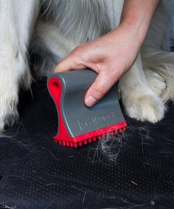 Modishnook.shop551326b698 4