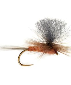 Modishnook.shop55d3573e40 1