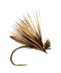 Modishnook.shop57e992cb4c 1