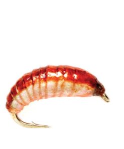 Modishnook.shop5899fd12a4 1