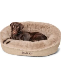 Modishnook.shop594ed5d37f 1