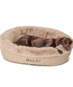 Modishnook.shop594ed5d37f 3