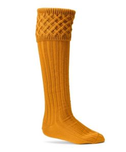 Modishnook.shop5d39436093 1