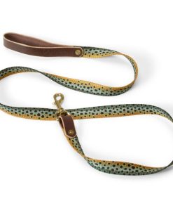 Modishnook.shop657df8e4c8 1