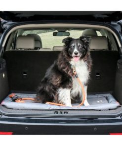 Modishnook.shop65ab25792c 4