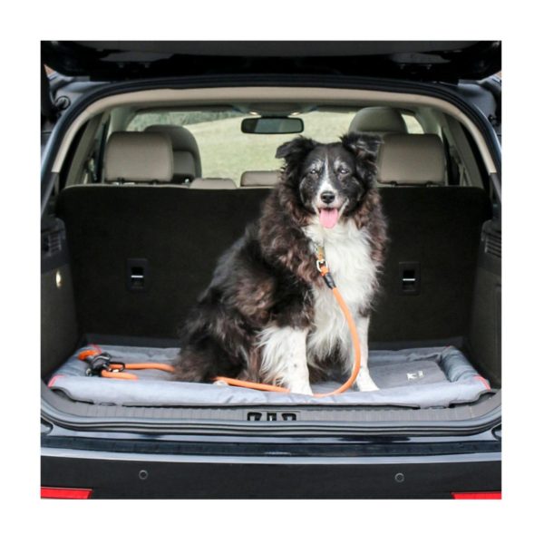 Modishnook.shop65ab25792c 4