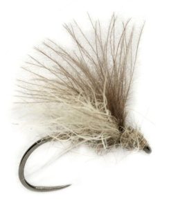 Modishnook.shop668893f7a5 1