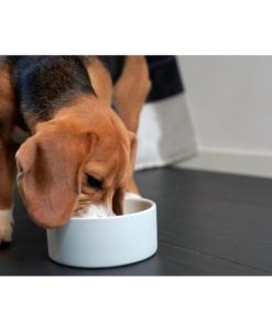 Modishnook.shop673152a327 2