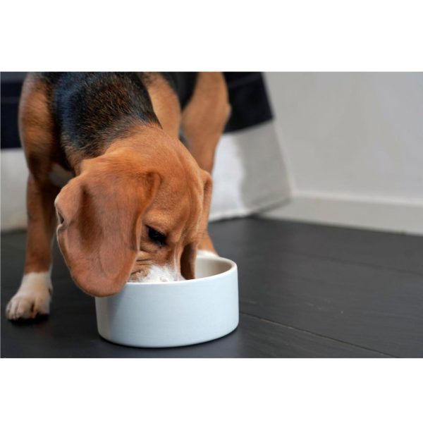 Modishnook.shop673152a327 2