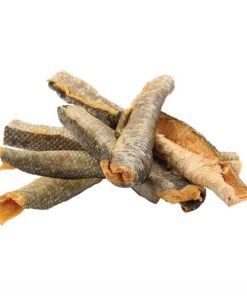 Modishnook.shop67c65f9bbe 2