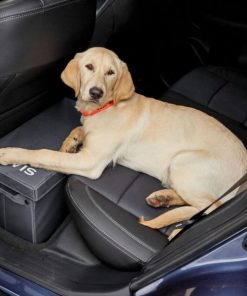 Modishnook.shop68163c4ad6 1