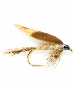 Modishnook.shop6914ddb009 1