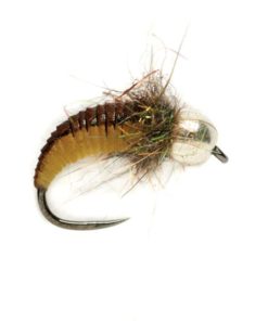 Modishnook.shop6978de1cdf 1