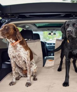 Modishnook.shop6a315e13eb 2