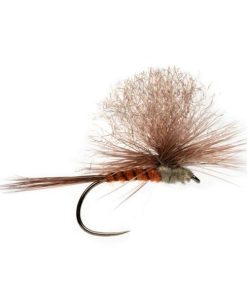 Modishnook.shop6c2da2f740 1