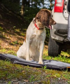 Modishnook.shop6f65dfb48a 3