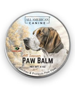 Modishnook.shop72f3330cfb 1