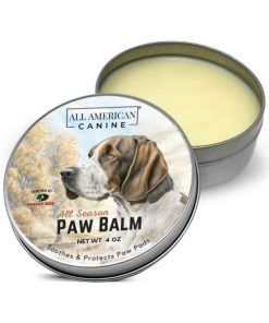 Modishnook.shop72f3330cfb 2