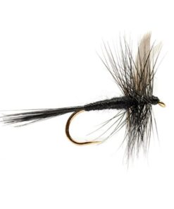 Modishnook.shop73a68a595b 1