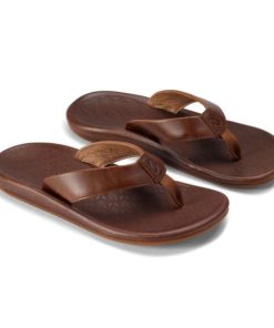 Modishnook.shop744e86b185 1