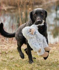 Modishnook.shop75c9b0b763 2