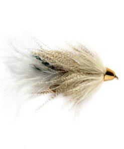 Modishnook.shop7636f14953 1