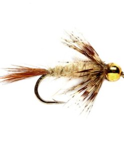 Modishnook.shop7651978443 1