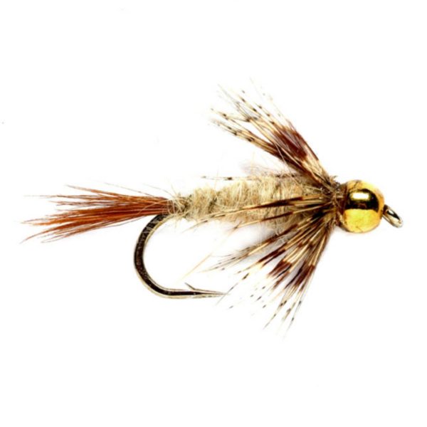 Modishnook.shop7651978443 1