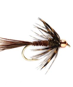 Modishnook.shop77df5f32ed 1