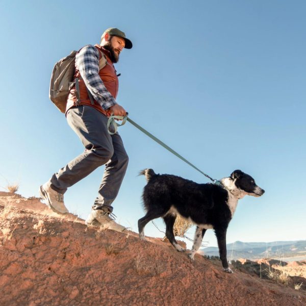 Modishnook.shop783e219c04 4