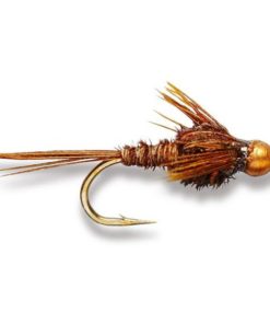 Modishnook.shop7aaba07c9a 1