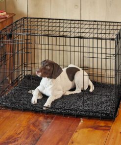 Modishnook.shop7b39f1c194 1