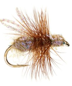 Modishnook.shop7c2f70f94f 1