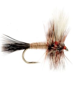 Modishnook.shop7c94fcdcbb 1