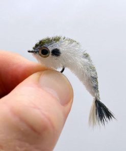 Modishnook.shop7d58964bf4 1