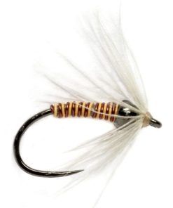 Modishnook.shop7e01e81e85 1