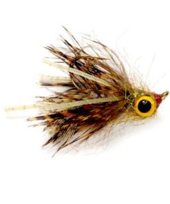 Modishnook.shop8211ec7404 1