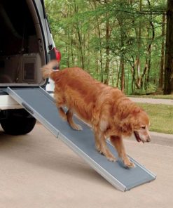 Modishnook.shop8341ac3151 1