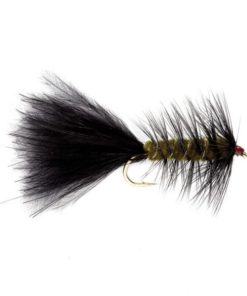 Modishnook.shop853d7c0a2d 1