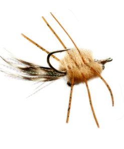 Modishnook.shop8722311bb8 1