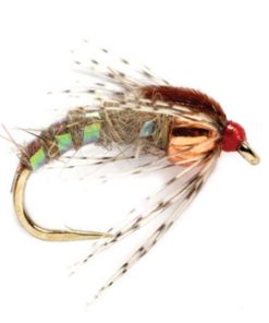 Modishnook.shop8b258cc850 1