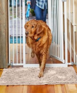 Modishnook.shop8c4050a1ec 1