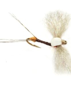 Modishnook.shop8d17a91b36 1