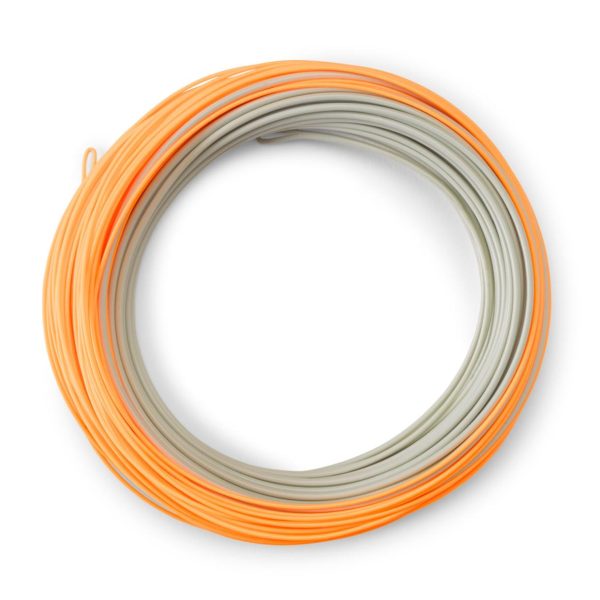 Modishnook.shop8e6cbbdec3 2