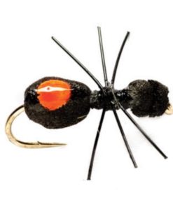 Modishnook.shop8eb8fd3c8b 1