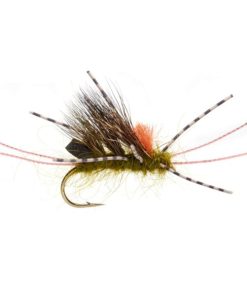 Modishnook.shop8f45c26ead 1