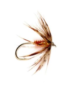 Modishnook.shop90cb9bf71e 1