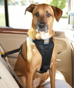 Modishnook.shop92f97d4bd6 1