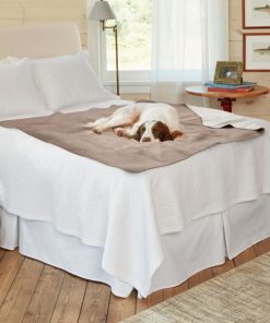 Modishnook.shop966d001712 1